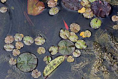 《风起洛阳》Steam页面 Demo同步上线